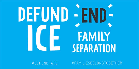 Graphic saying Defund ICE End Family Separation