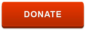 Orange-red button with text saying, "DONATE NOW"